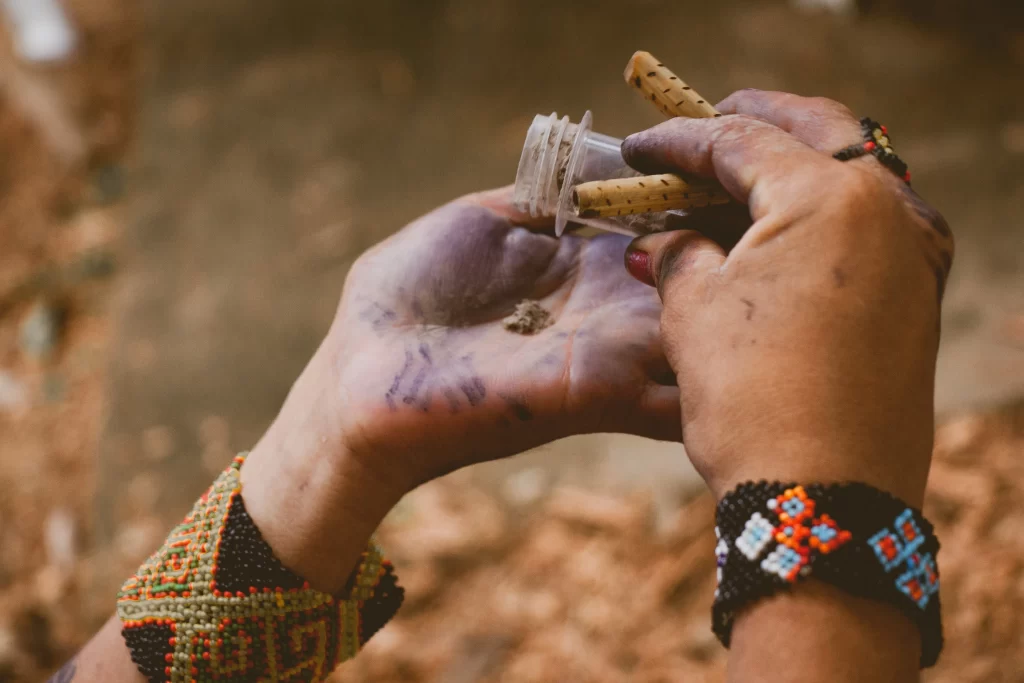 Amazônia medicinal