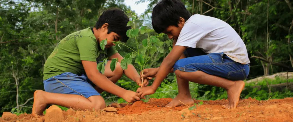 Entenda o que é a Floresta Amazônica