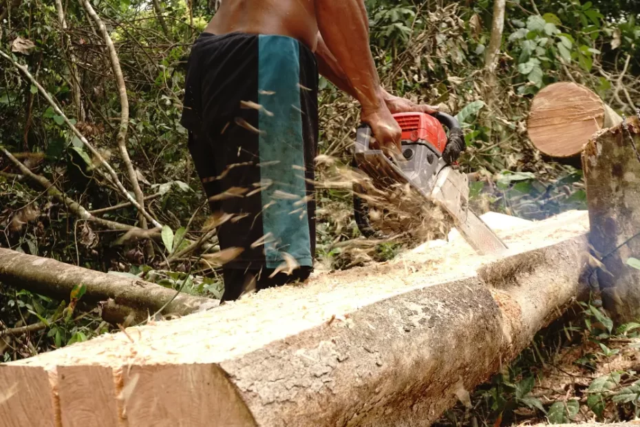 Amazônia Desmatamento