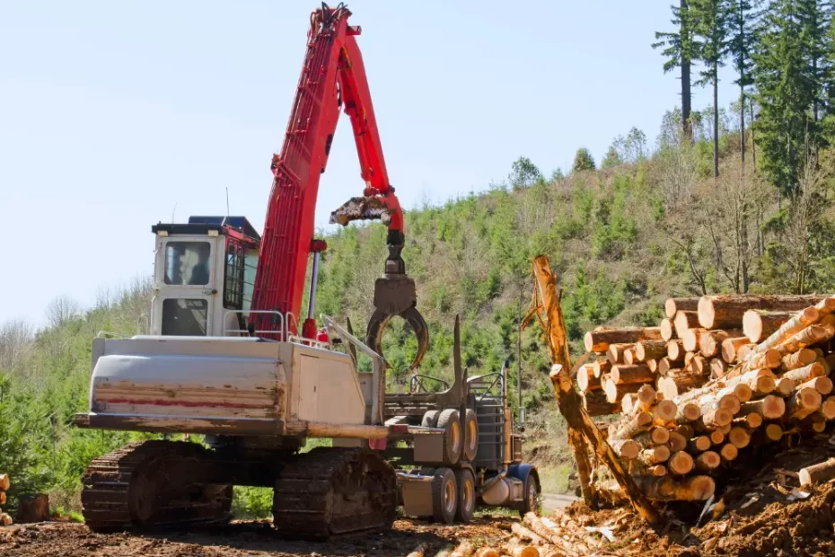 Amazônia o desmatamento