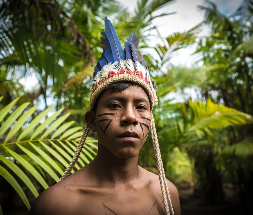 Plantas medicinais nativas da Amazônia