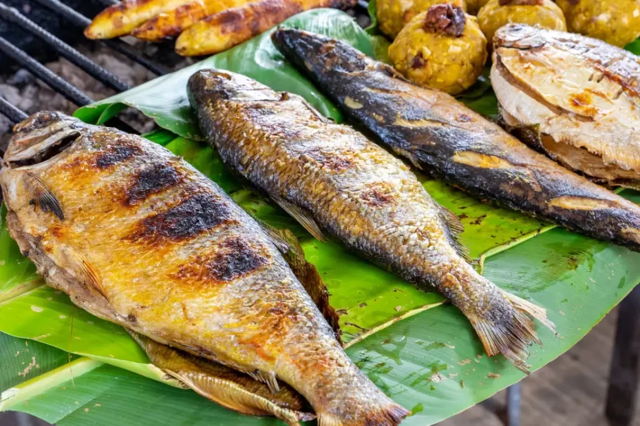 10 Peixes da Amazônia: Nativos e Ornamentais