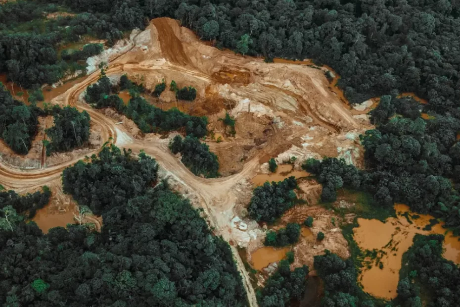 Desmatamento da Amazônia