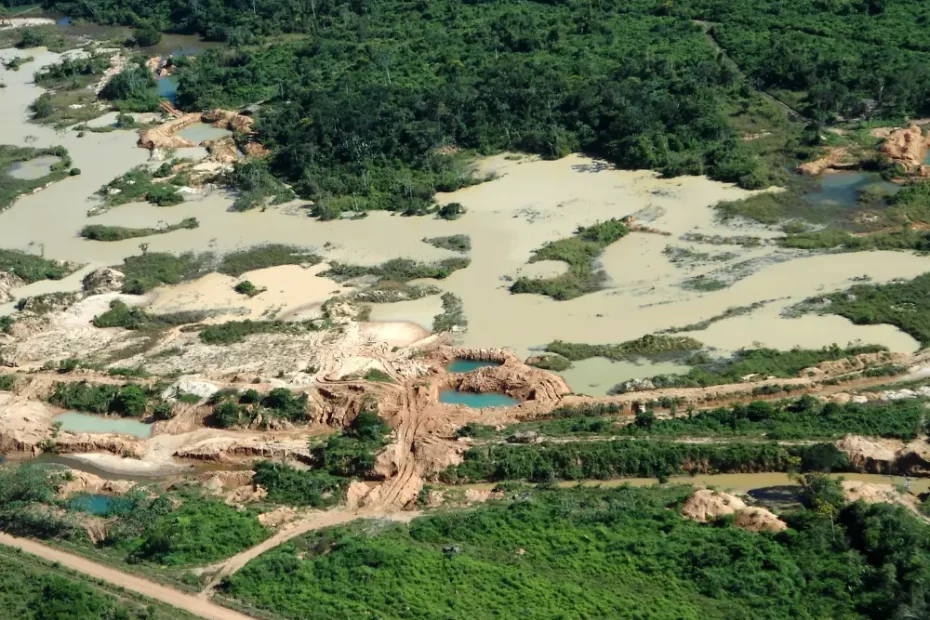 Governo e Desmatamento na Amazônia