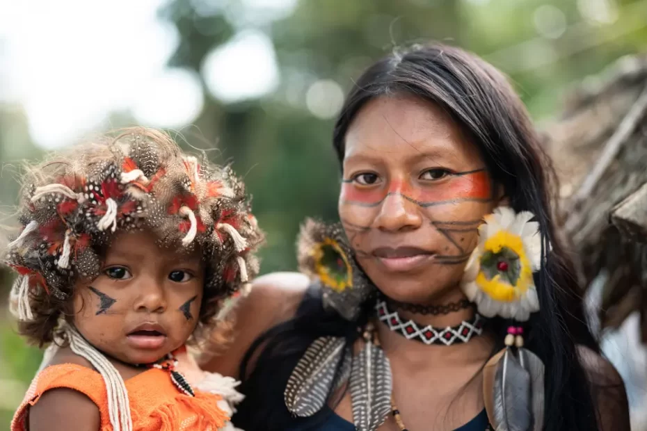 Amazônia Legal: tudo o que você precisa saber | Guia Completo