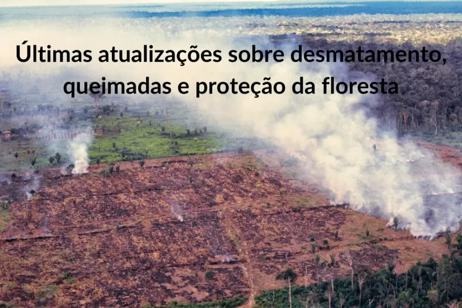 Notícias sobre a Amazônia