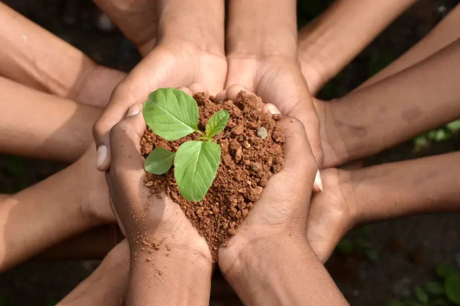 Economia Sustentável na Amazônia