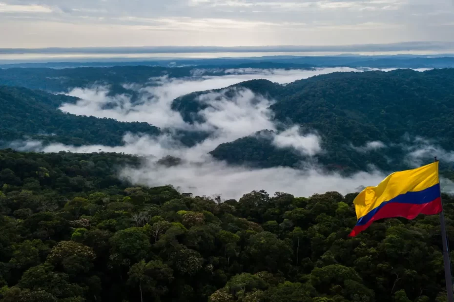amazonia colombiana