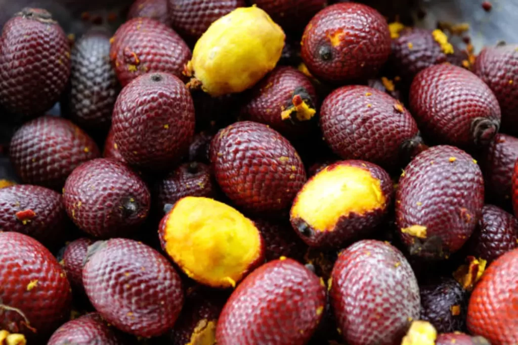 FRUTA BURITI AMAZONIA