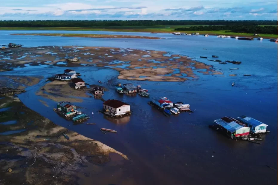 Qual será o Futuro da Amazônia