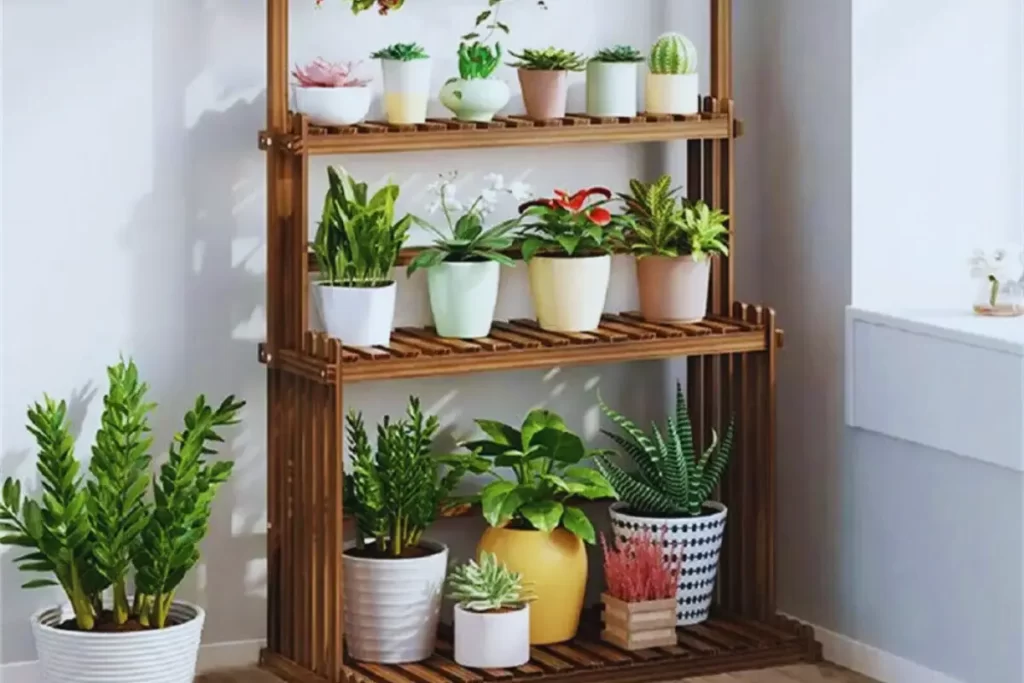 PLANTAS AROMATICAS em casa