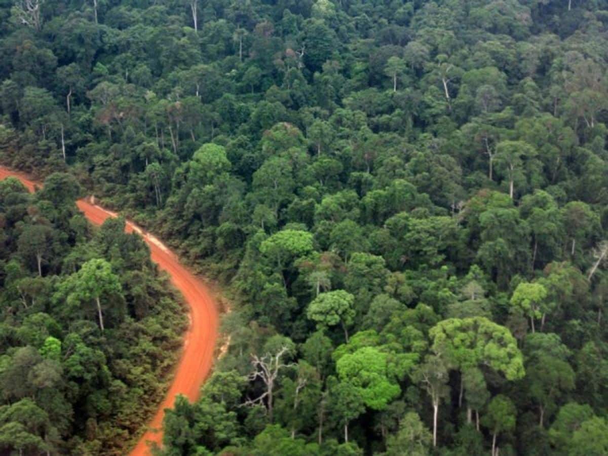 Amazon rainforest climate change