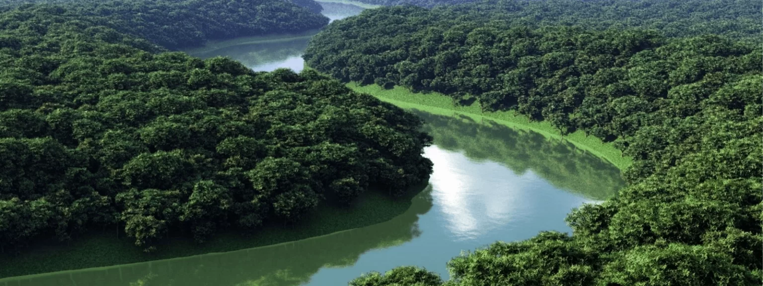 Amazônia medicinal